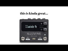 Load and play video in Gallery viewer, Neunaber Illumine Reverb - MIDI --- SALE -25%
