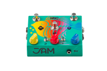 Load image into Gallery viewer, JAM Pedals Ripply Fall : Chorus - Vibrato - Phaser Pedal --- SALE -15%