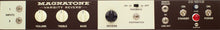 Load image into Gallery viewer, Magnatone Varsity Reverb Combo