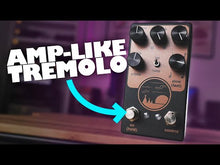 Load and play video in Gallery viewer, NativeAudio Rising Sun Optical Tremolo version 2.0 (Native Audio) --- SALE -33%