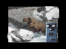 Load and play video in Gallery viewer, Browne Amplification T4 Fuzz