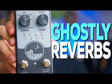 Load and play video in Gallery viewer, NativeAudio Ghost Ridge Reverb v. 1.5 (Native Audio) --- SALE -33%