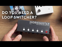 Load and play video in Gallery viewer, Morningstar ML5 Loop Switcher
