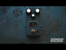 Load and play video in Gallery viewer, Browne Amplification T4 Fuzz
